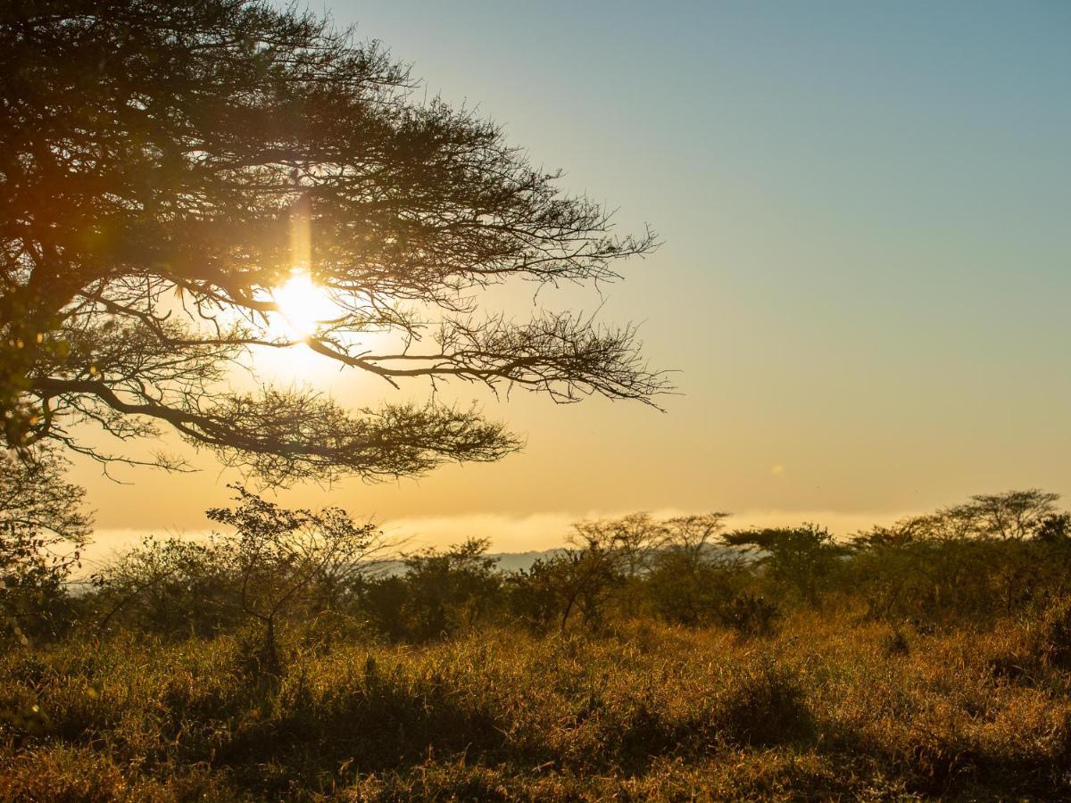 Zululand Lodge هلوهلوي المظهر الخارجي الصورة