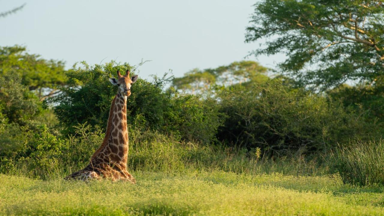 Zululand Lodge هلوهلوي المظهر الخارجي الصورة
